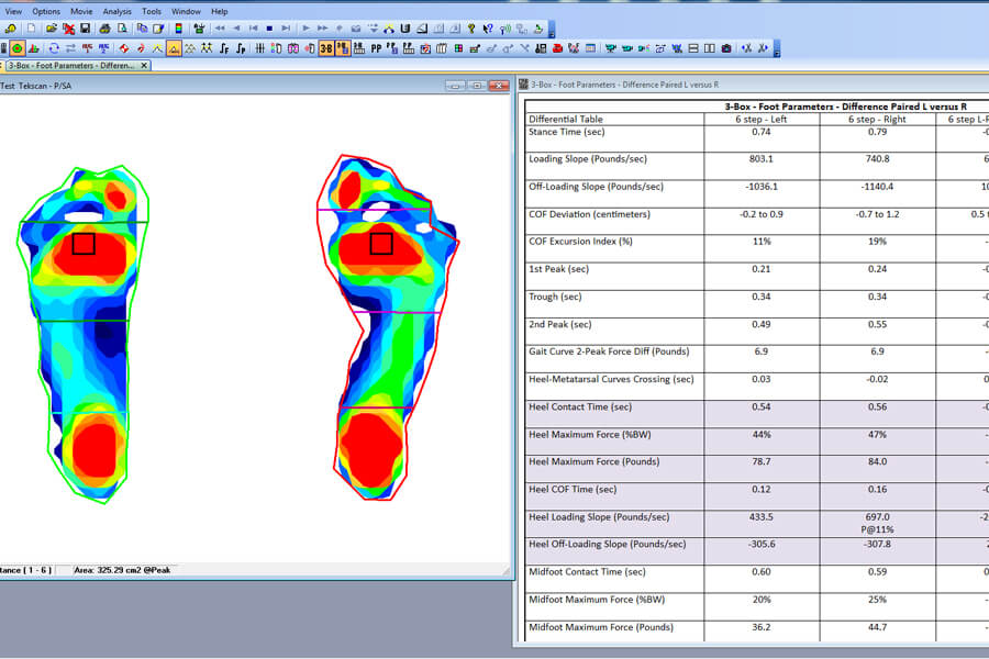 FootMat Software for Researchers Tekscan